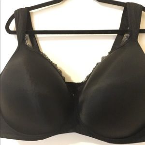 Ashley Stewart Butterfly bra size: 46G